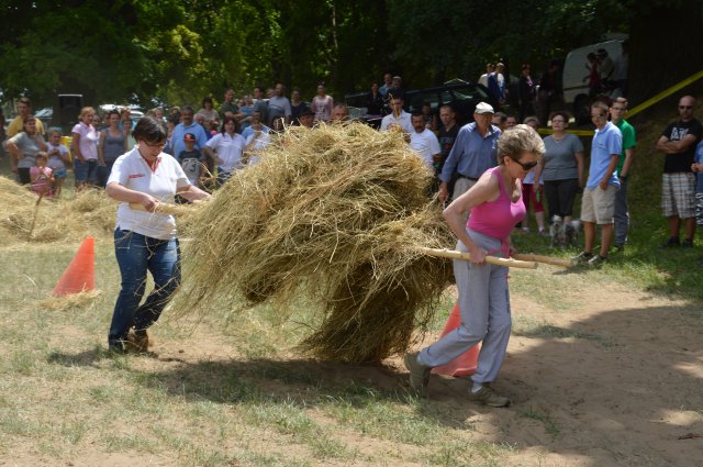 Ügyességi erőbajnokság